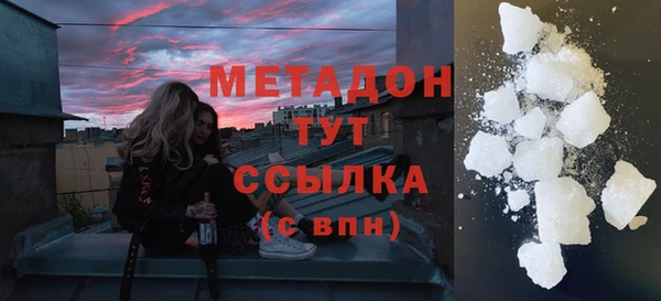стаф Алзамай