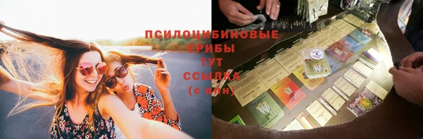 стаф Алзамай