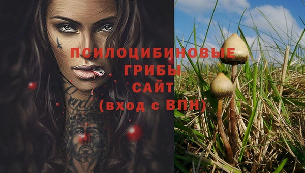 винт Алексин