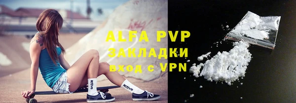 стаф Алзамай
