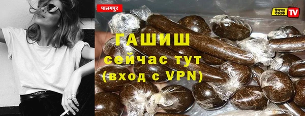 стаф Алзамай