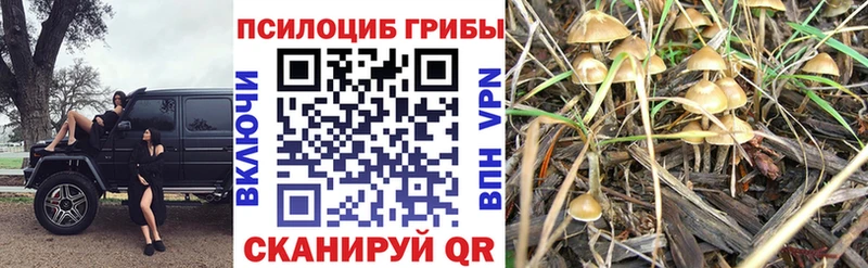 Галлюциногенные грибы Cubensis  Сим 