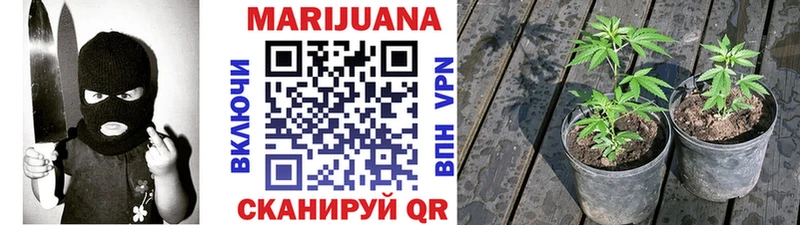 Бошки марихуана ГИДРОПОН  Сим 